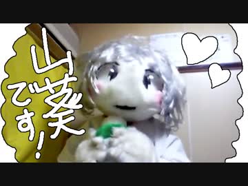 【自己紹介】初めまして、山葵（わさび）です！