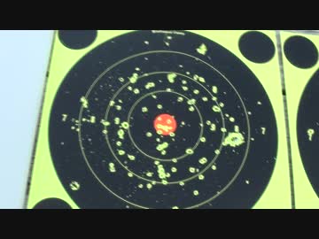 【蛇退治用】22口径散弾が食らうとめっちゃ痛そう