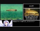 川のぬし釣り5　全魚種RTA　3時間4分56.8秒　part5/5