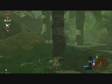 【実況】愛に生きるゼルダの伝説ブレスオブザワイルド マスターモード part39