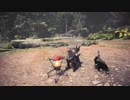 【MHW】はぐれ環境調査員の調査記録「肉、食ってるか？編」
