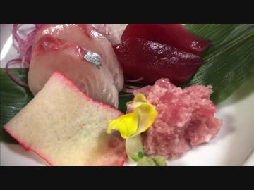 【夢ねこ世界を喰らう＃66】夢ねこ温泉旅館＠山形 ファミコンボックスRTAつき