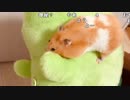 【ニコ生】もこう『真龍の力その目に焼き付けるがいい』1/2【2018/09/18】