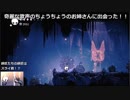 マイペースにムシたちの大国を冒険！！　Hollow Knight　その３８