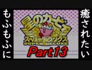 【星のカービィスーパーデラックス】もふもふに癒されたい主のカービィSDX実況プレイ part13