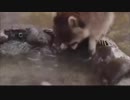 綿菓子を溶かすｼ|ｭ|-|ｻ|ﾝ