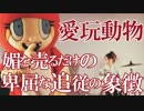 愛玩動物　あべりょう　フジテレビ「Tune」エンディング曲「キミの一番の成功体験」