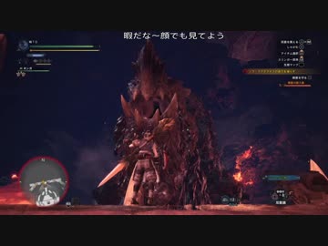 【MHW】ＴＯ猟団新大陸調査記録③：ソロゾラ