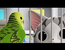 こねこのチー　ポンポンらー大冒険　#10「チー、インコと会う」