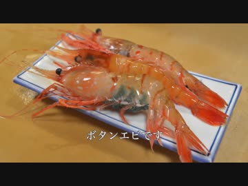 寿司職人による甘海老と牡丹海老の仕込みから握りまで〜How To Make Sushi Series〜