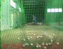 １５５キロスライダーキャッチャー側?