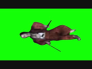 転がるさかちゃんGB