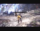 MHW 歴戦王クシャルダオラにワンパンされてきました。