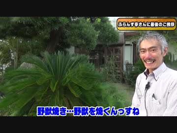 【パチンコ店買い取ってみた】第140回宅配弁当ふらんす亭さんに関するお知らせ 