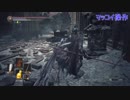 勇者が往く！　人間性投げ捨ててダークソウル３二人実況　part81