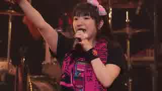 新谷良子 -LIVE-