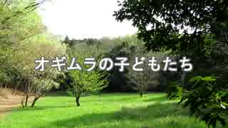 オギムラの子どもたちその2（ホームステイ）