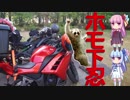 【ボイロ車載】ホモ下忍で白川郷　part2
