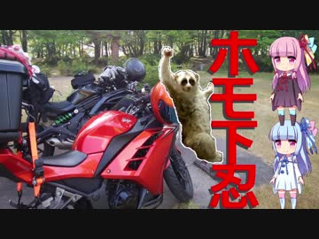 【ボイロ車載】ホモ下忍で白川郷　part2