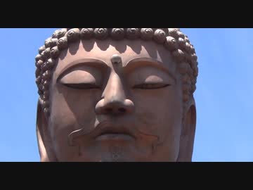 ゆるゆる愛知クエスト5 「大治・豊明・刈谷・大府・東海・知多」