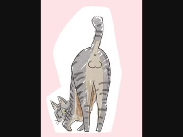 ケツを見せたがる猫