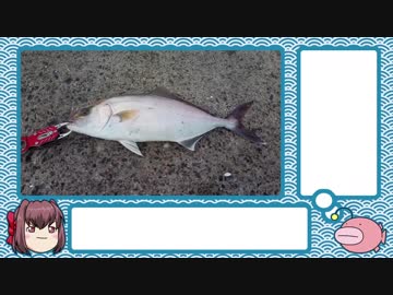 まったり釣行記⑨☆2017年11～2018年9月