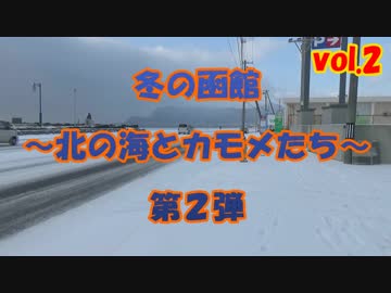 函館旅行　冬の函館　～北の海とカモメたち　第２弾～