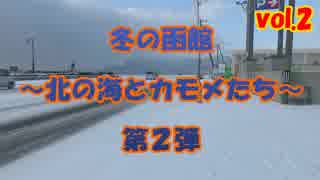 函館旅行　冬の函館　～北の海とカモメたち　第２弾～