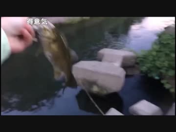 9.22 【魚釣り】リバーバスフィッシング