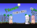 【Terraria】爆発四散系茜ちゃんと行くテラリア＃2