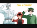 【MMDはたらく細胞】フリィダムロリィタ 1080p版【+おまけ】