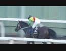 2018年　第29回 オーバルスプリント（JpnⅢ）【ノブワイルド】