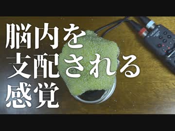 脳内が侵食されていく音 | つぶつぶスライムをマイクに被せる | Yeti【ASMR / 音フェチ】