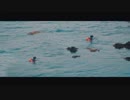 maco marets - Summerluck
