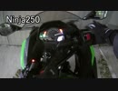【車載動画】　アネモネのNinja250