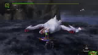 MHF　素人の白ナルガ討伐　双剣
