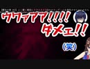 えーちゃん悲鳴よくばりセット＋α