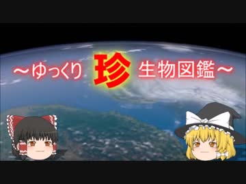 ～ゆっくり　珍　生物図鑑～　新・70回