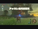 厄災かけますね.botw22