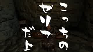 【実況】新約・加速するスカイリムの旅 Page387