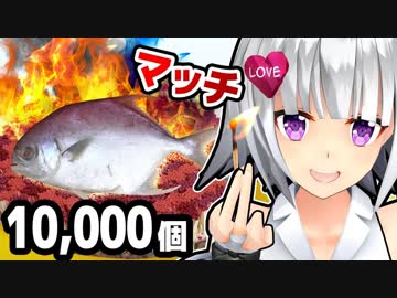 【実験】１０,０００個のマッチで魚焼いたら食べれるんじゃない！？