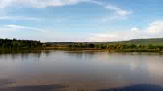 View Of A Lake　臼井弘文