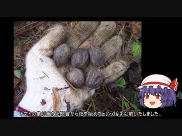 ゆっくり農民90クルミを育ててみませんか？