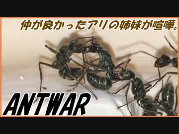 たったの3日で崩れる家族の絆。