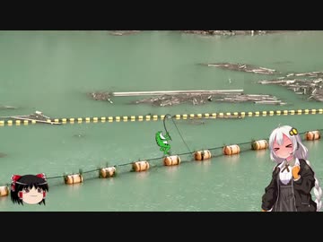 あかりちゃんと　走って、食べて、楽しもう！　その0