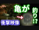 【衝撃映像】釣りをする亀！？【MoE実況】