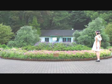 【やこ誕2018】ミルククラウン・オン・ソーネチカ 踊ってみた【文月きい】