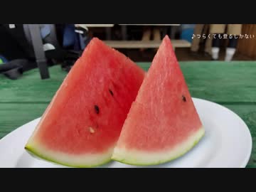 【ゆっくり】ポケモンGO 燕岳攻略RTA 前編