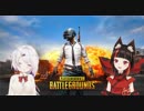 【てぇてぇ回】面倒見の良いヤンキーと三下舎弟の楽しいＰＵＢＧ Part.2