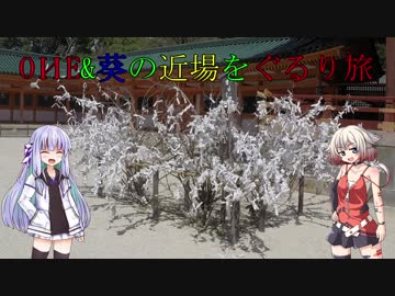 【車載動画】OИE&amp;葵の近場をぐるり旅:3日目【京都】